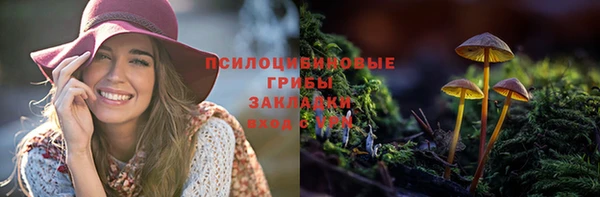 твердый Абинск