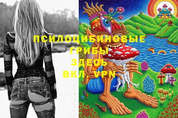 твердый Абинск